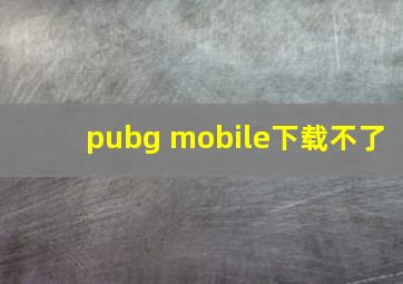 pubg mobile下载不了